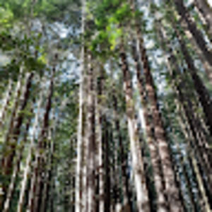 Meet your Posher, Carolyn